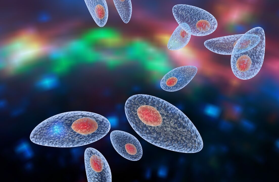 The causative agent of toxoplasmosis in the body